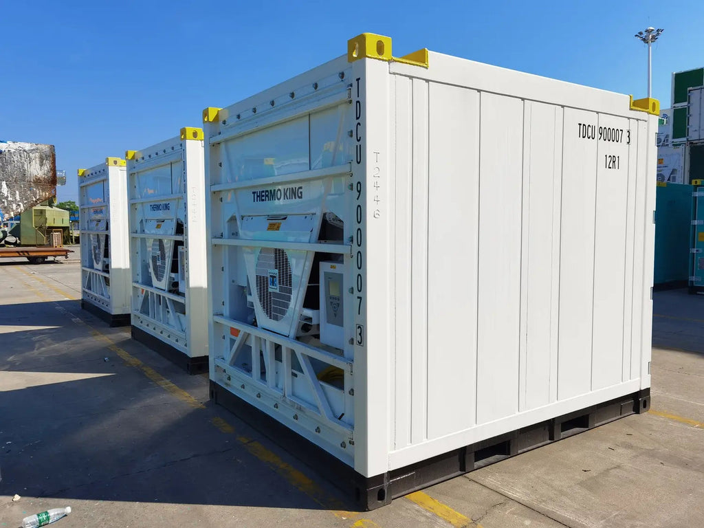 Contenedor frigorífico 10' - Contenedor DNV seminuevo 10 pies