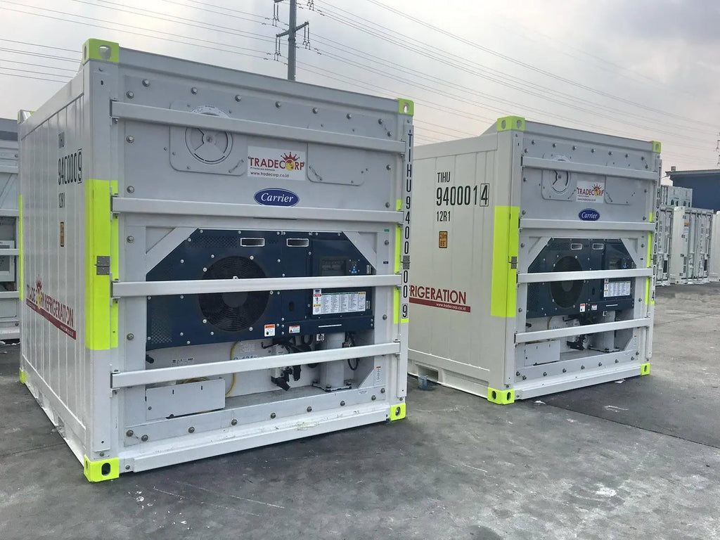 Contenedor frigorífico 10' - Contenedor DNV seminuevo 10 pies